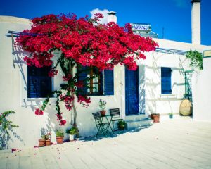 greek home11