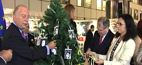 The Cypriot Missing Persons Memorial Tree in the European Parliament