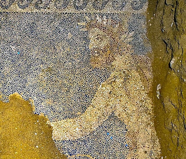 Figure 7: A detailed photo of the Hades figure in the new mosaic: part of the conjectural arm and detail of the possible bracelet in the lower right.