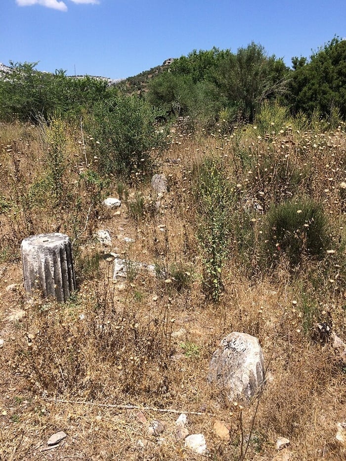 Bargylia ruins