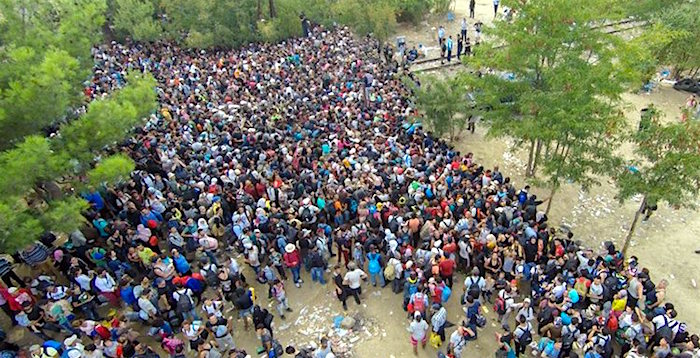 Afghan Migrants_FYROM