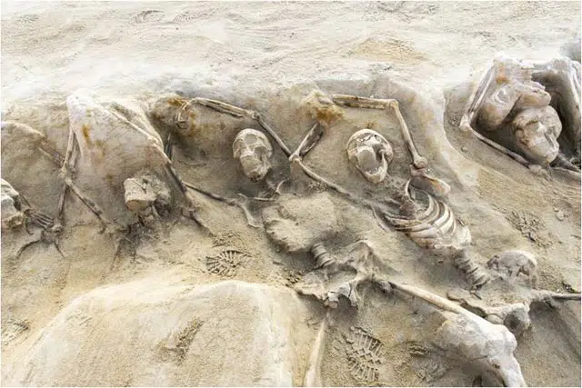 Shackled Skeletons of Athens