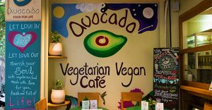 Veg food - Avocado Food for Living