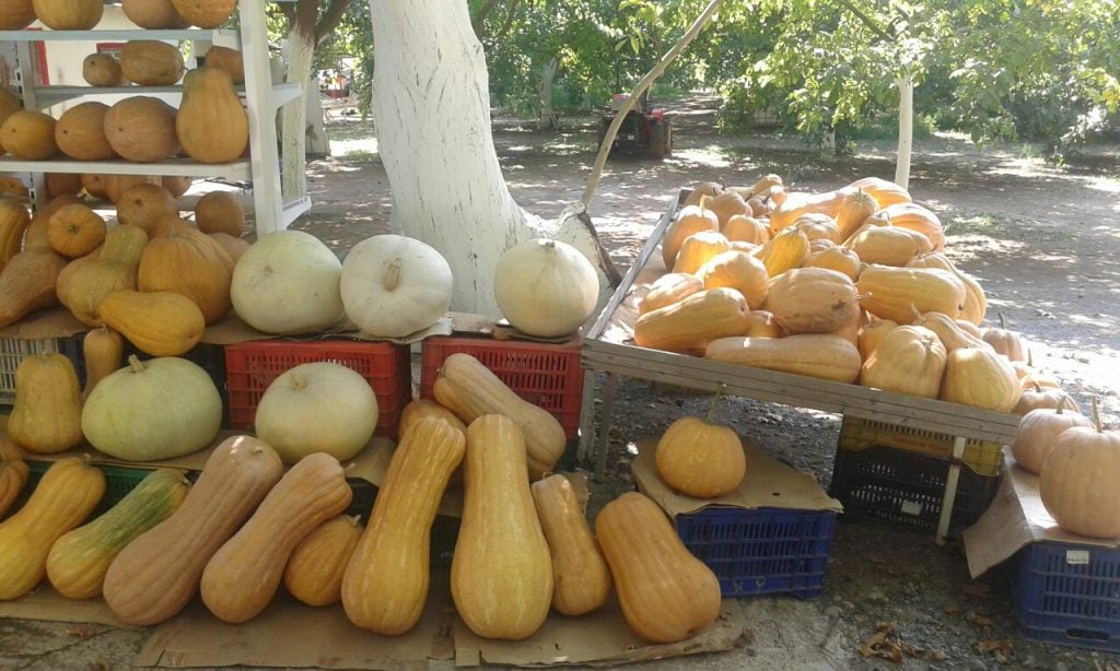 N Evia Vegetable stand