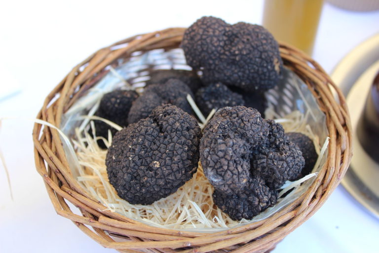 The Ancient Greek History of Truffles and the Thunderbolt from Zeus