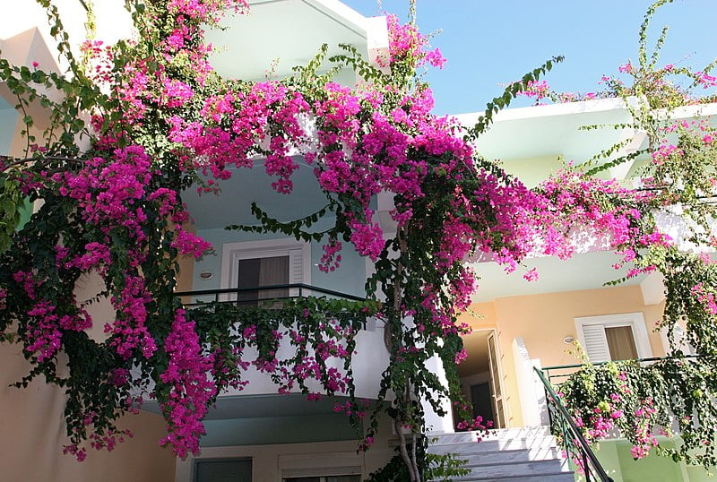 Six Ways to Decorate your Balcony like Those in Greece