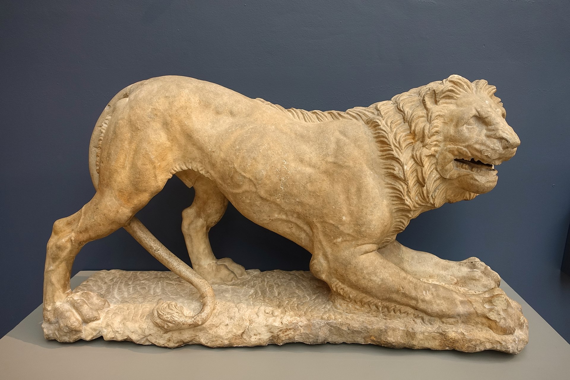 lion ancient greece lions big cats