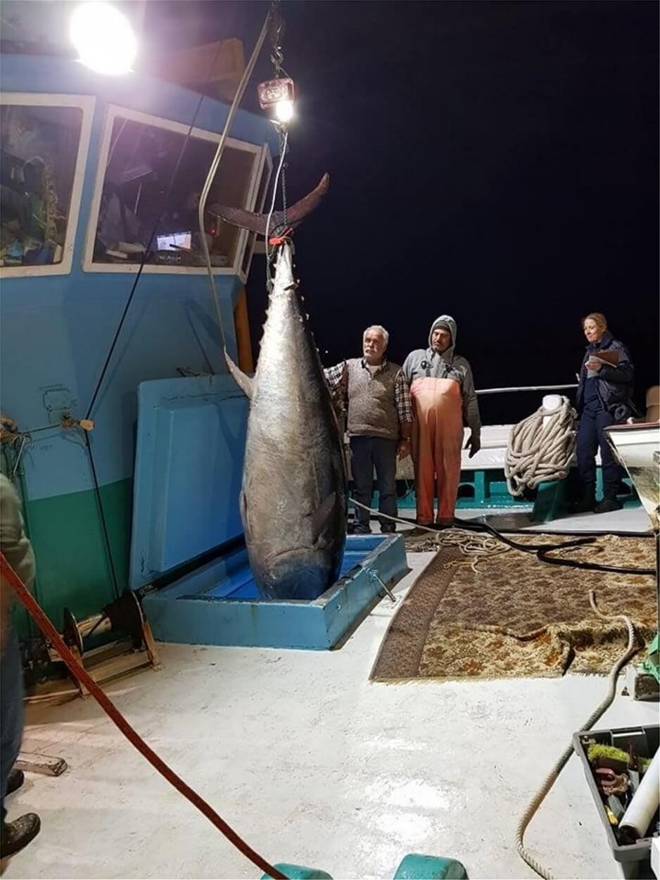 fish tuna Greece