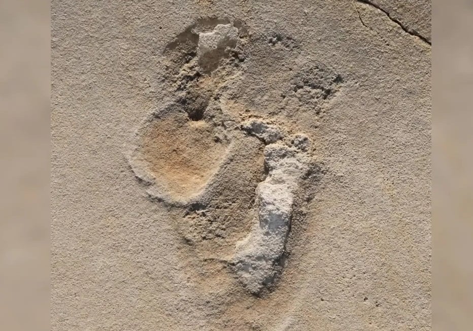 Hominid footprints Crete