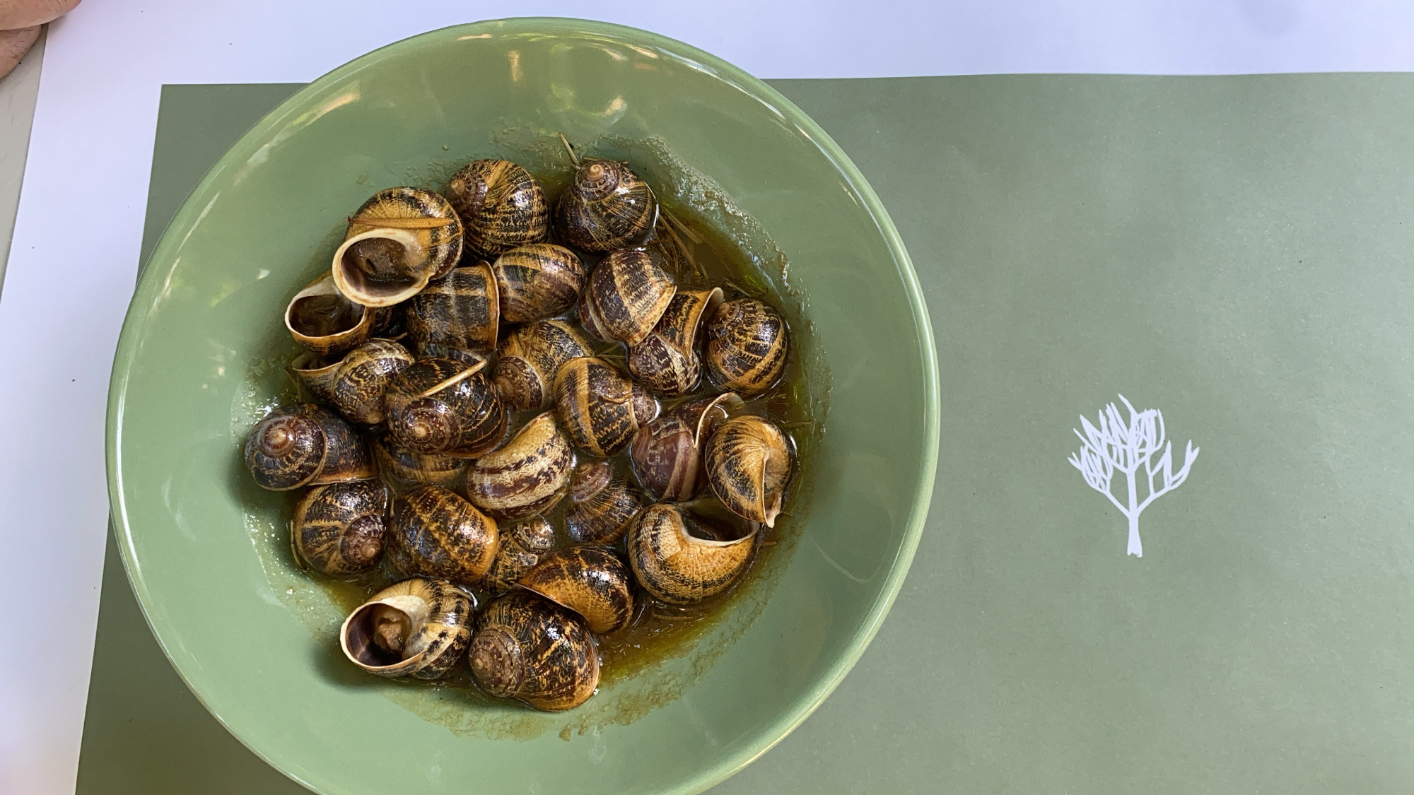 The Traditional Escargot Dish of Crete