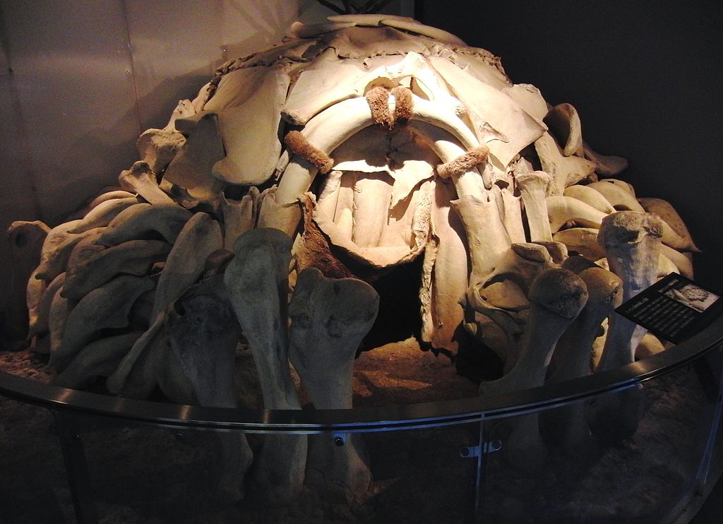 Woolly Mammoth Bone Dwelling 