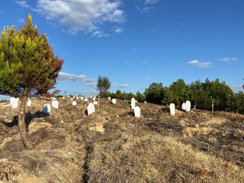 Migrants cemetery Evros