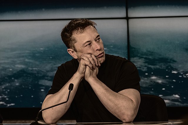 Elon Musk tesla stock