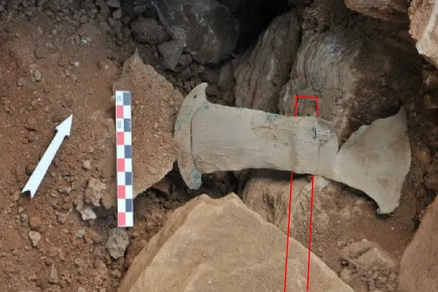 Bronze axe discovered