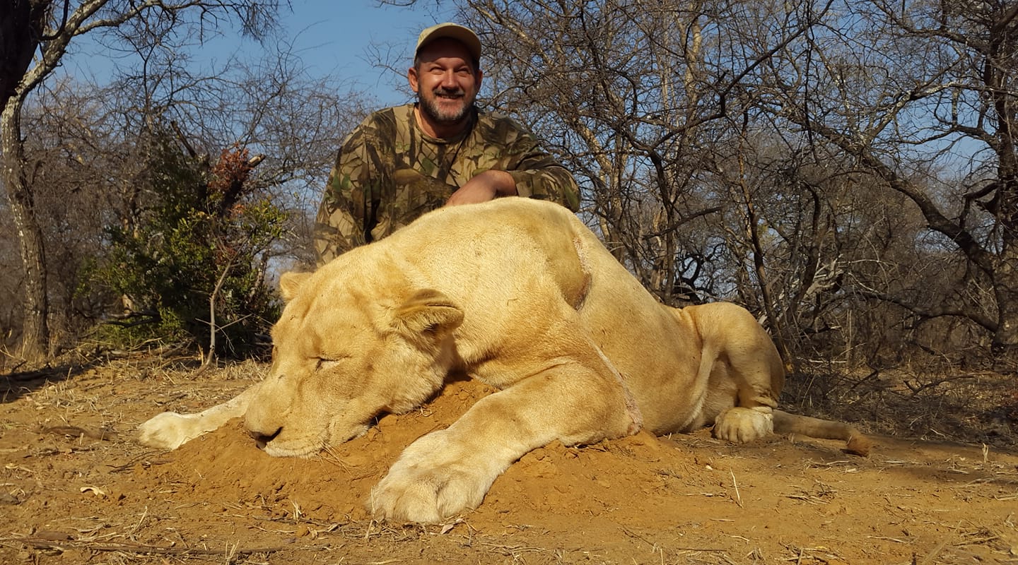 Trophy hunter lions elephants South Africa