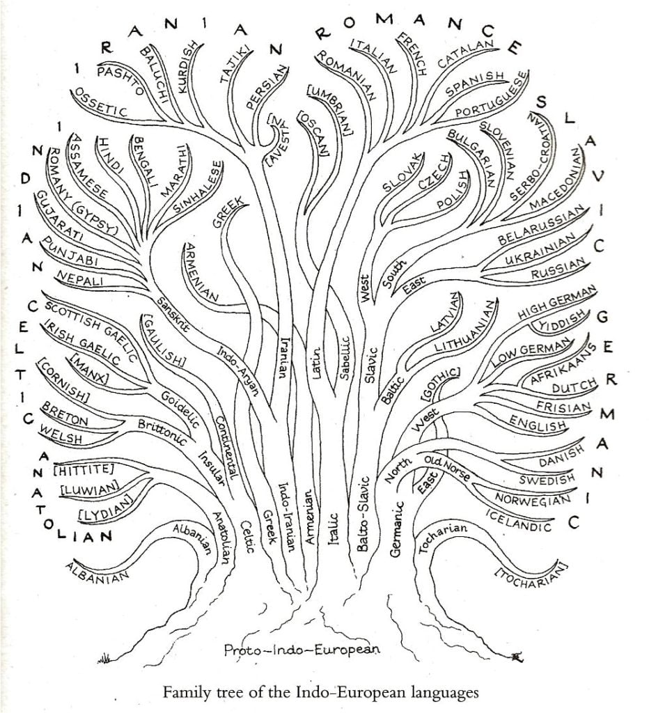 Family tree of indoeuropean languages