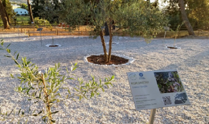 Garden of Peace Crete
