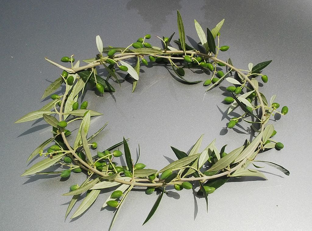 Ancient Greece Wreaths