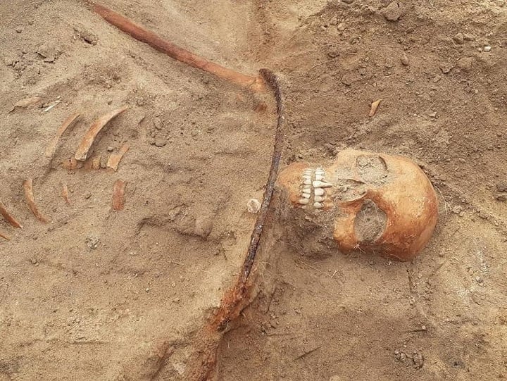 vampire burial. Skeleton buried with a sickle over the neck in a medieval cemetery in Pien, Poland.