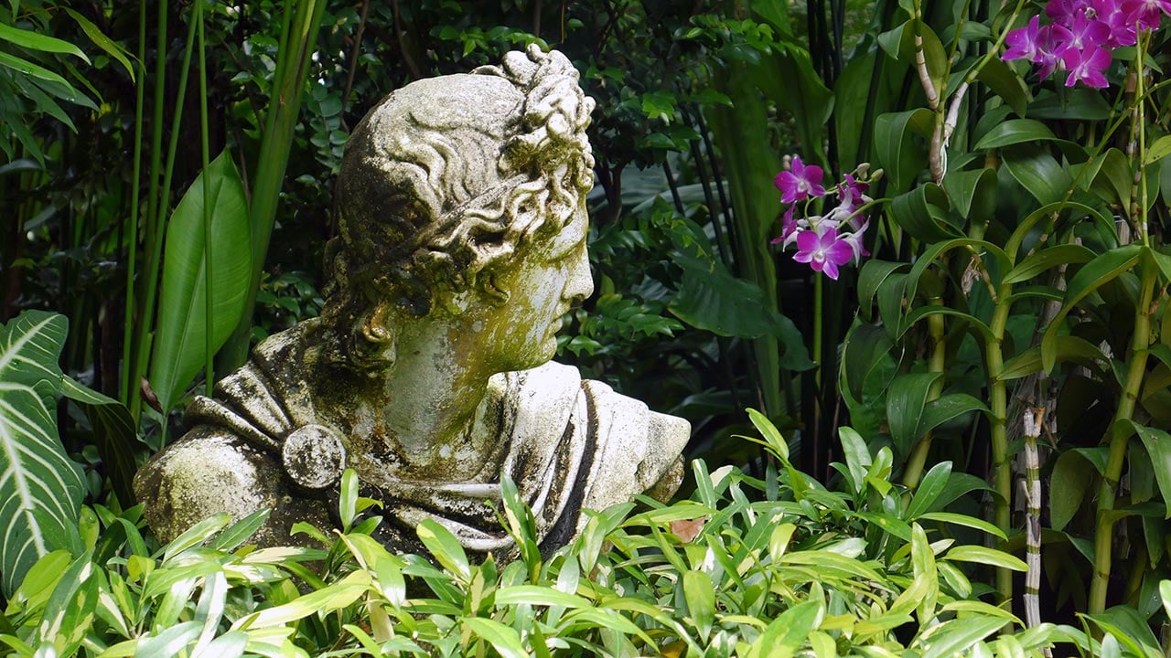 Miracle Plant Used in Ancient Greece Rediscovered After 2,000 Years