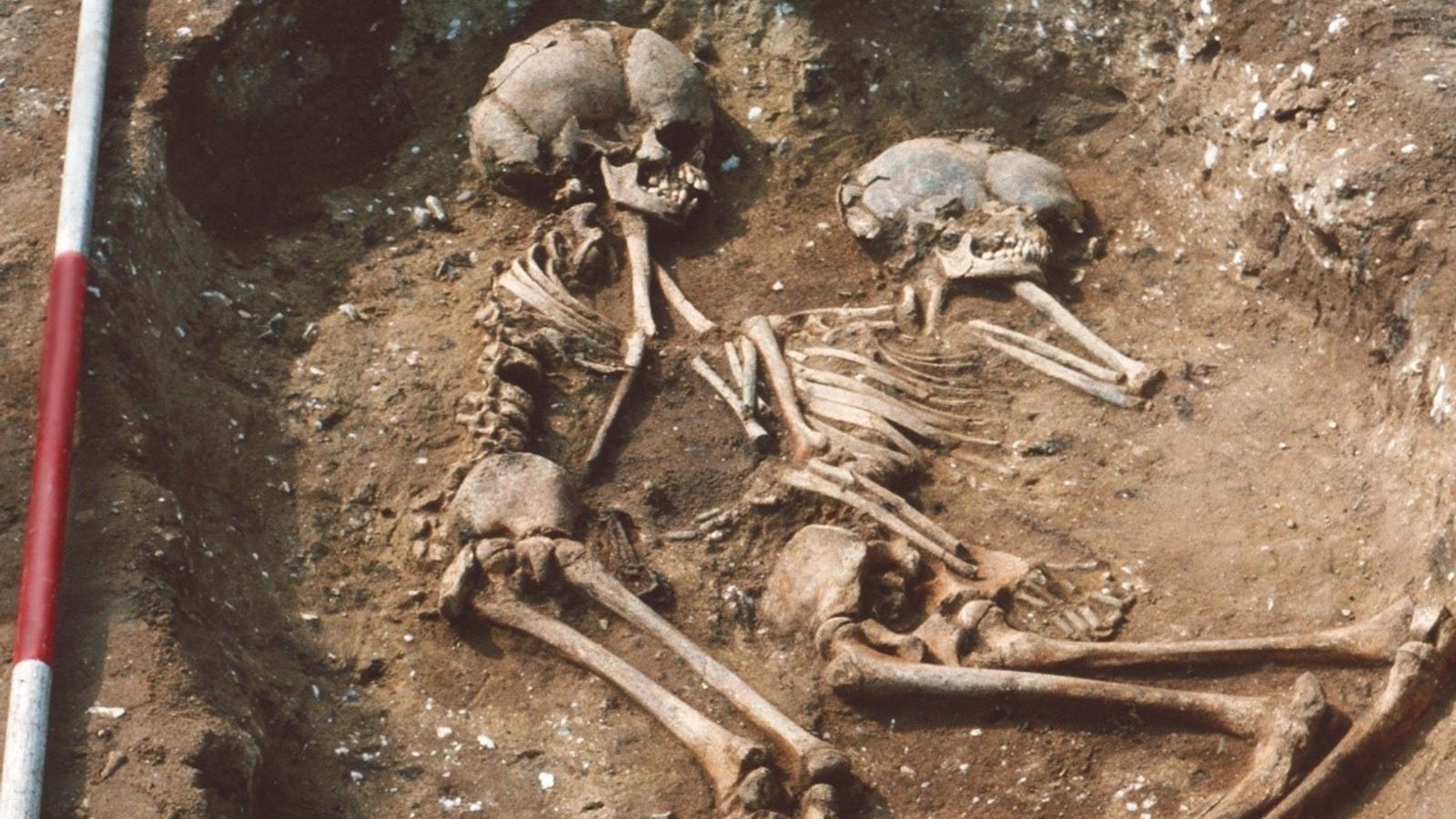 DNA from skeletons reveals first English people