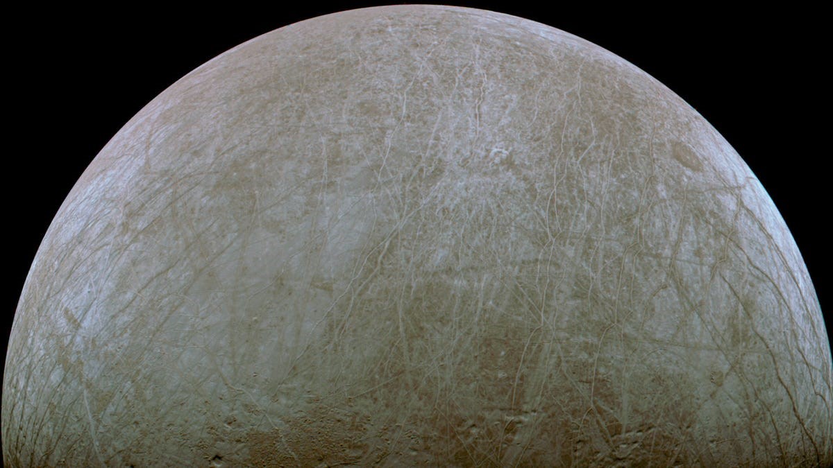 Juno's raw image of Jupiter's moon Europa