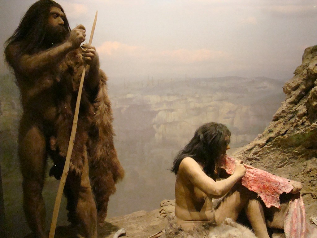 Homo sapiens Neanderthals