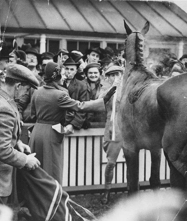 Queen Elizabeth II giving a racehorse a fond pat, Brisbane, 1954