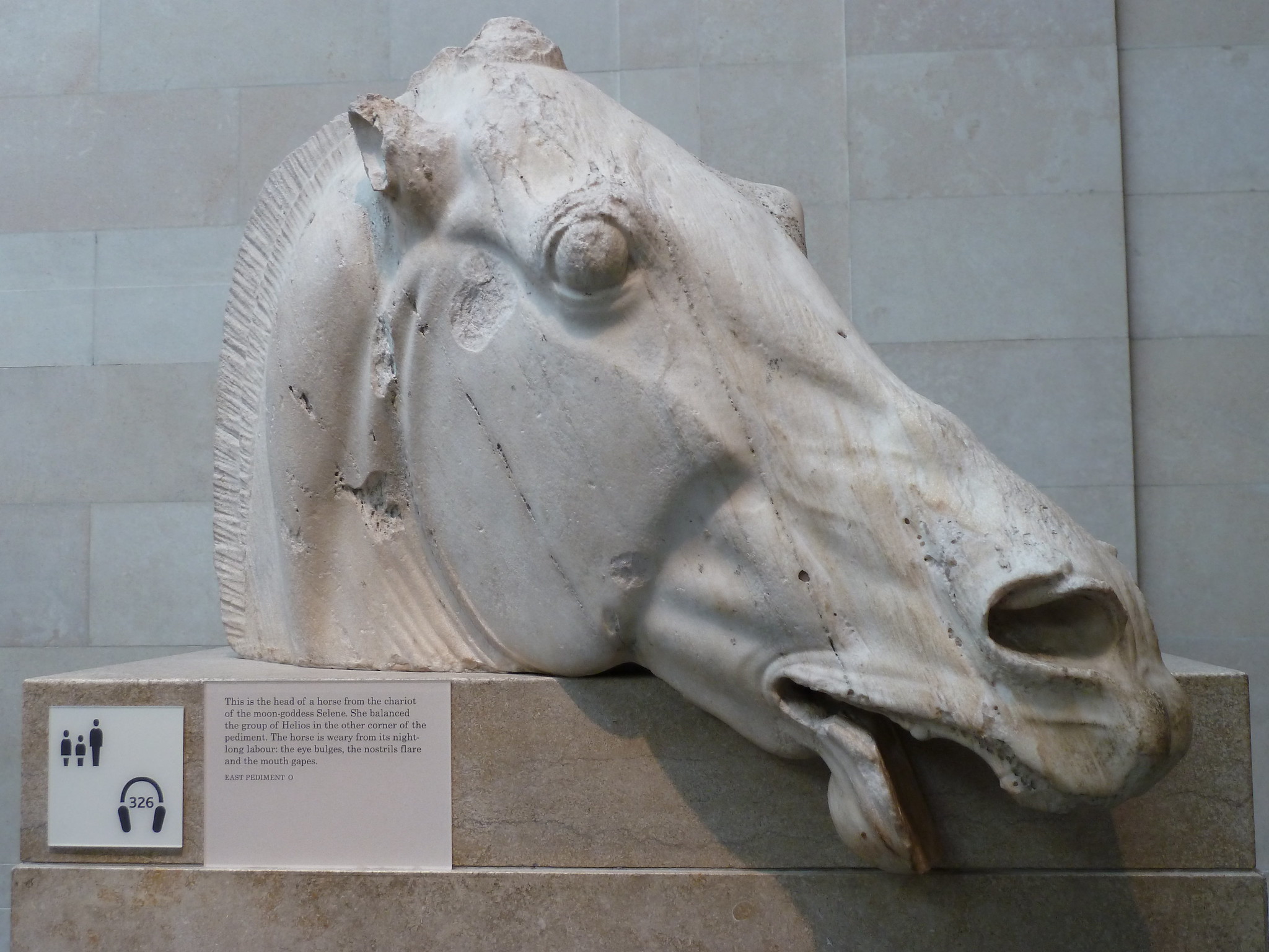 Elgin Marble Horse Museum Of London