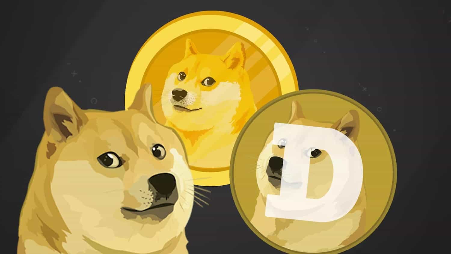 Dogecoin Dog Makes Miraculous Recovery