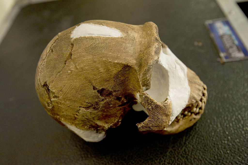 Fossil Discovery Homo naledi