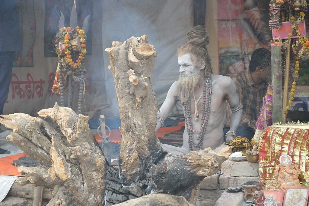 Sadhu Naga Indian Ascetic