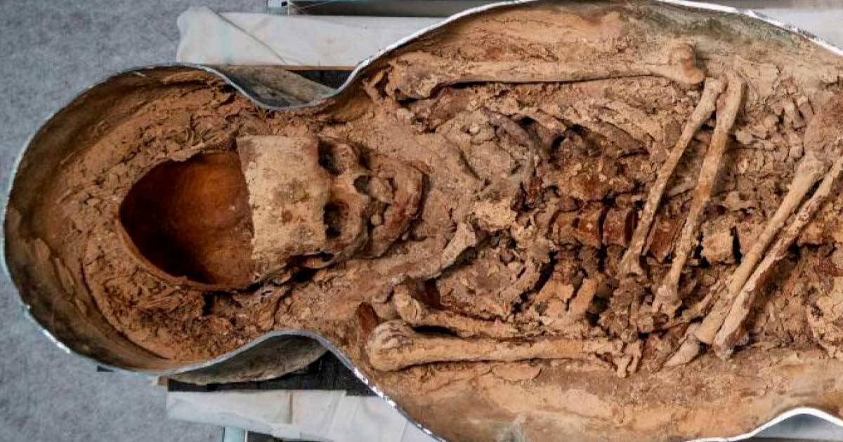 Notre Dame Sarcophagus Opened Revealing a sceleton of a Knight with Elongated Skull