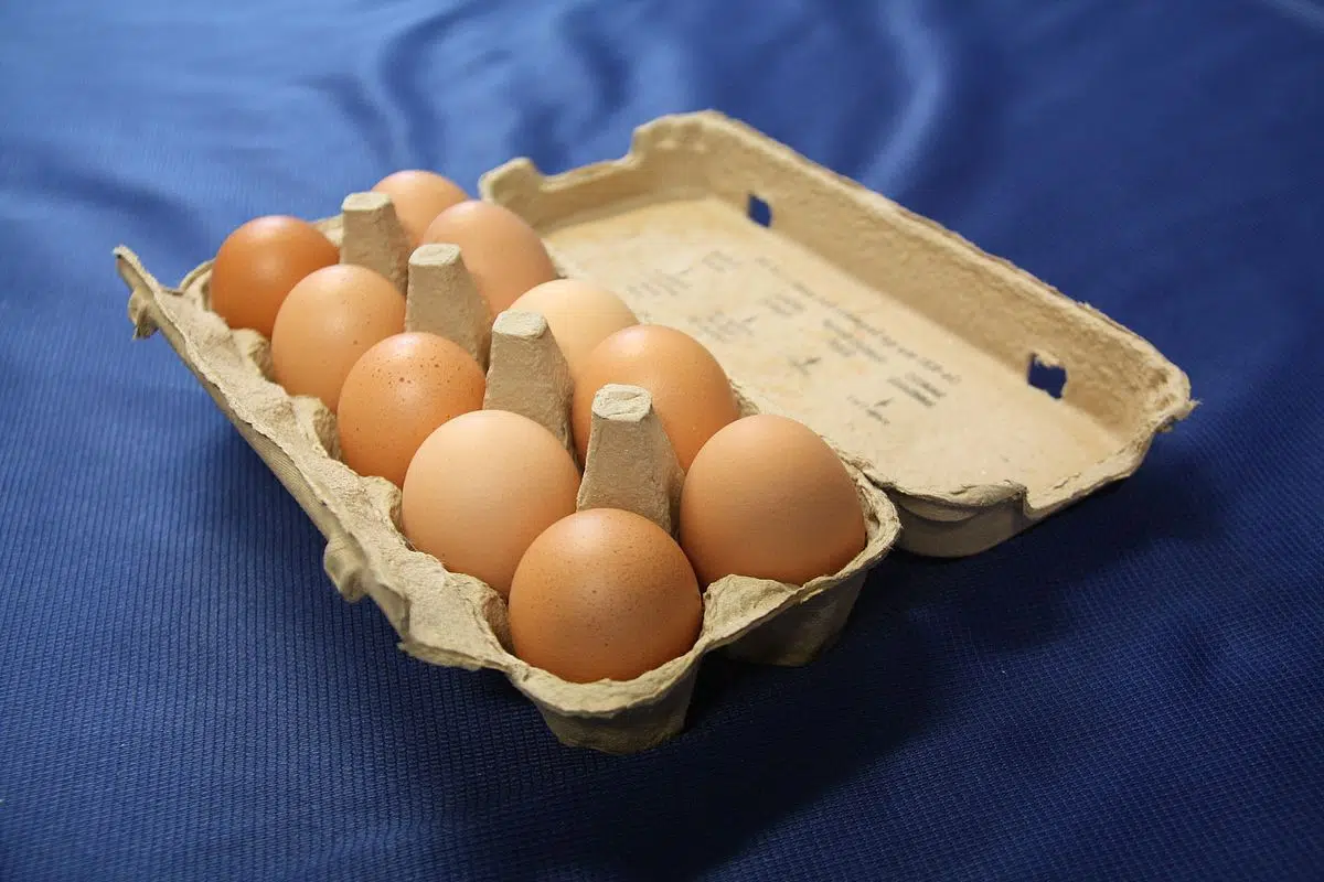 An egg shortage is likely the leading cause behind soaring egg prices in the US and other parts of the world. 