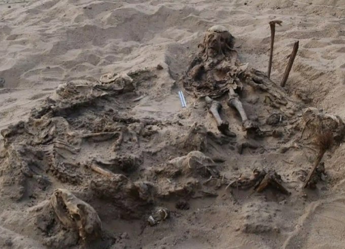 Child Buried With 142 Dogs in Ancient Egyptian Necropolis