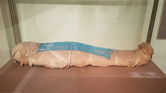 Ancient Egyptians’ Mummy-Making Mixtures Revealed