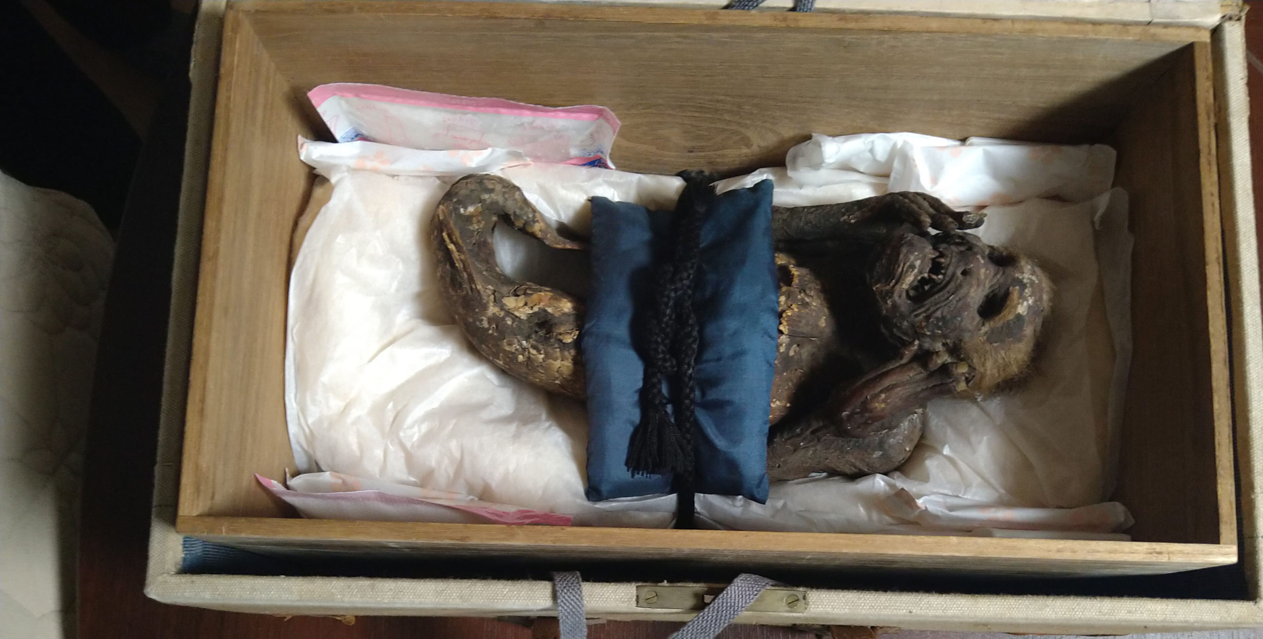 Mystery of Japan's 'Mermaid' Mummy Solved