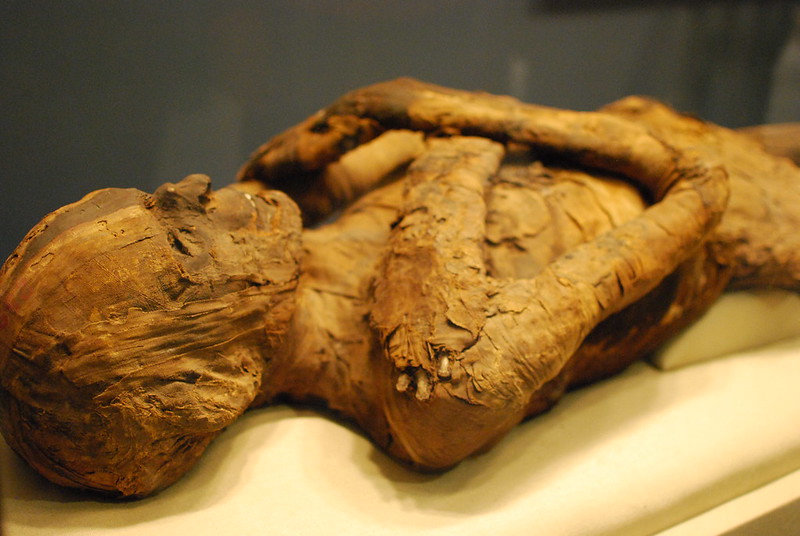 Ancient Mummy Found in a Cooler Bag