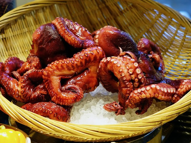 ‘Cruel’ Plans for World’s First Octopus Farm
