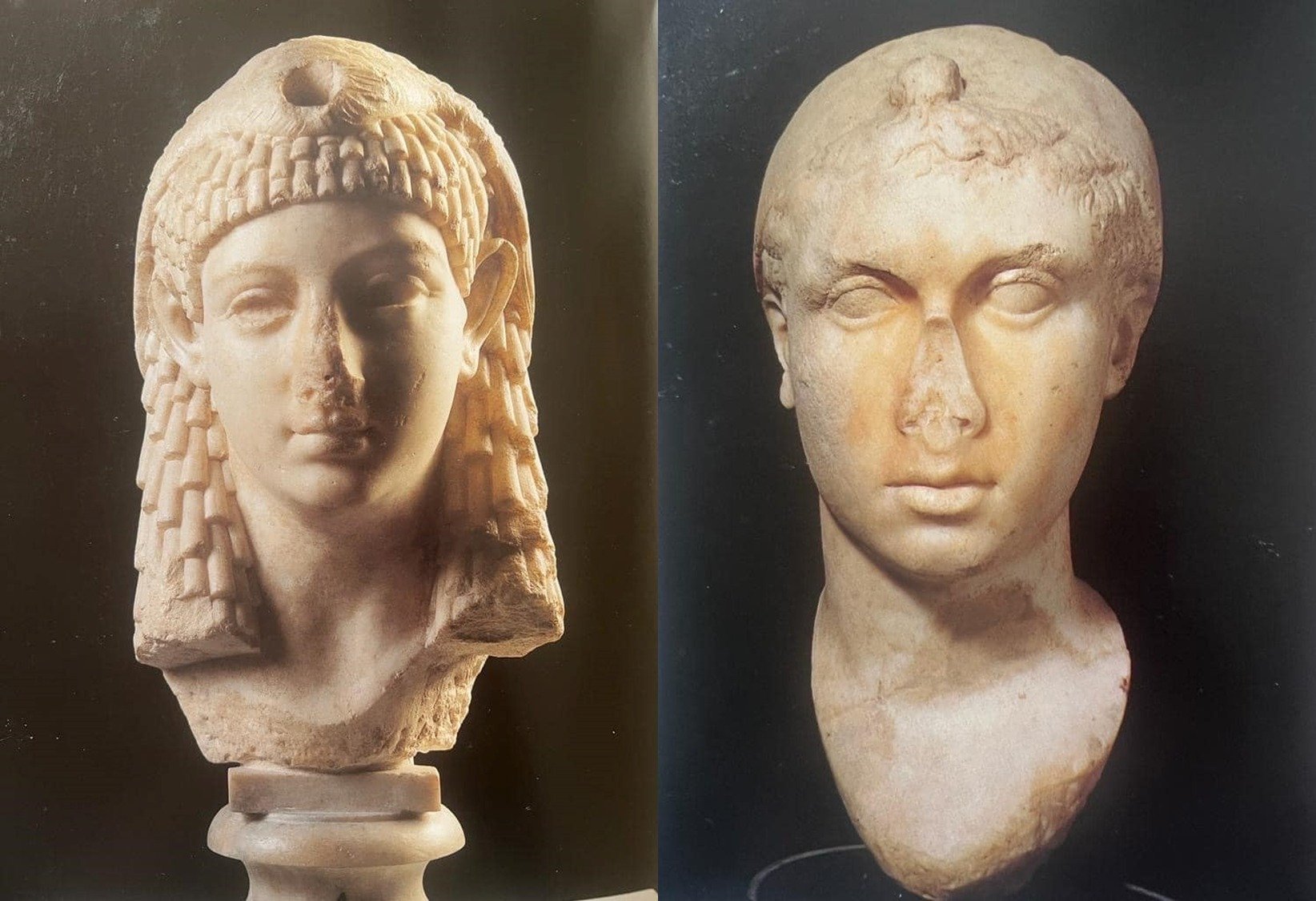 Busts of Cleopatra 