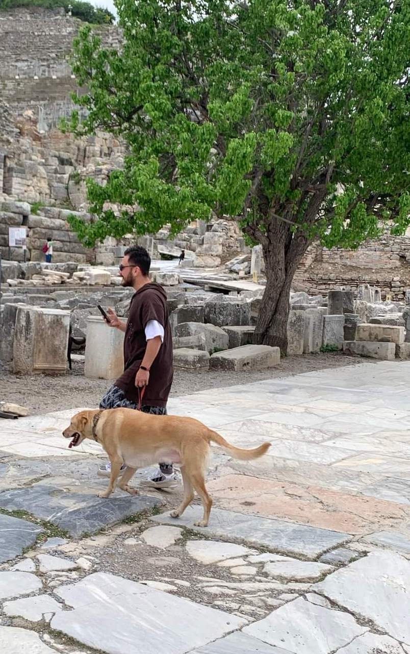 Pets archaeological sites Greece