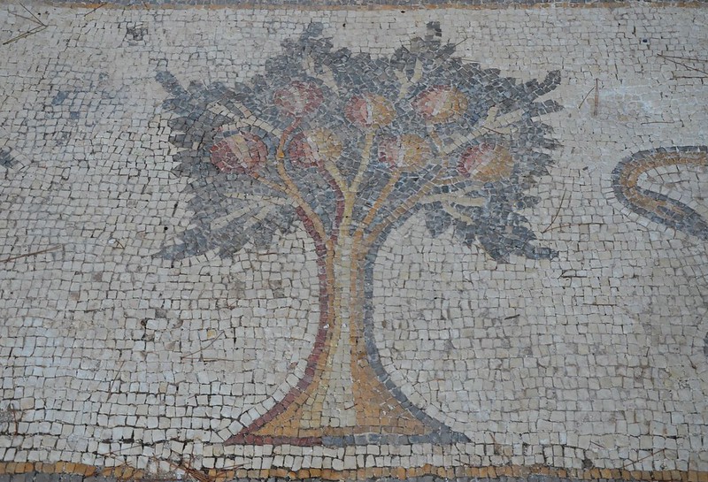 Pomegranate tree mosaic