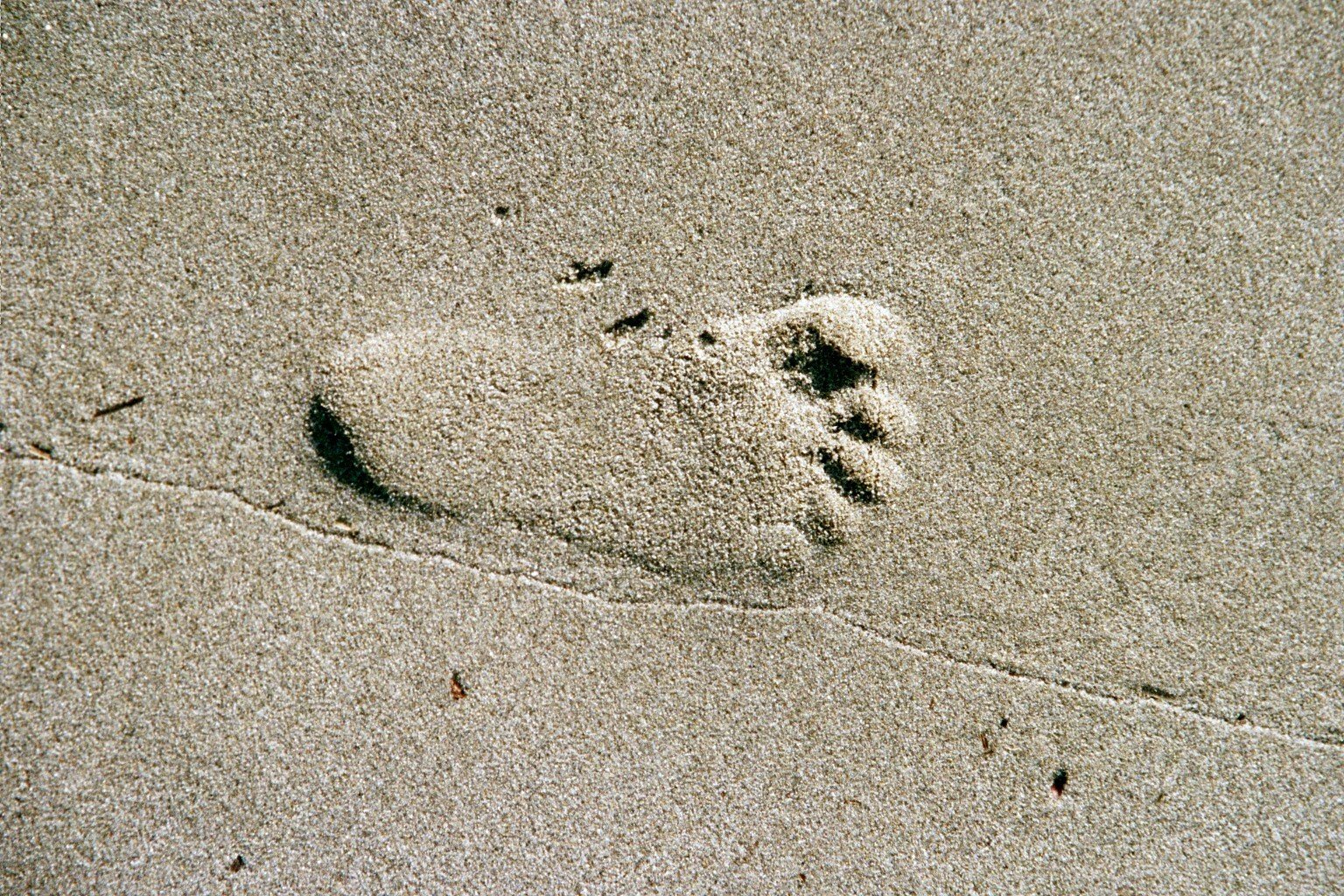 153000-year-old Homo Sapiens Footprints