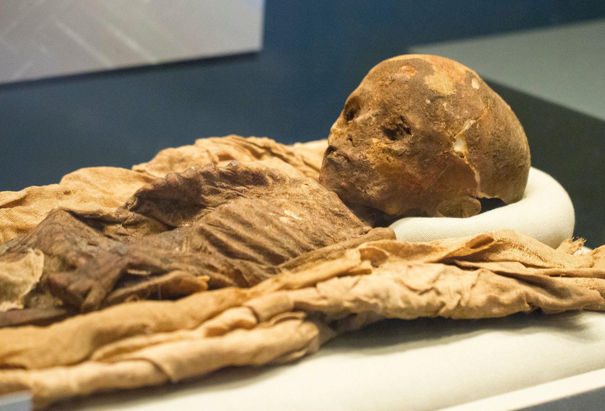 Ancient Egyptian Children Plagued By Blood Disorders