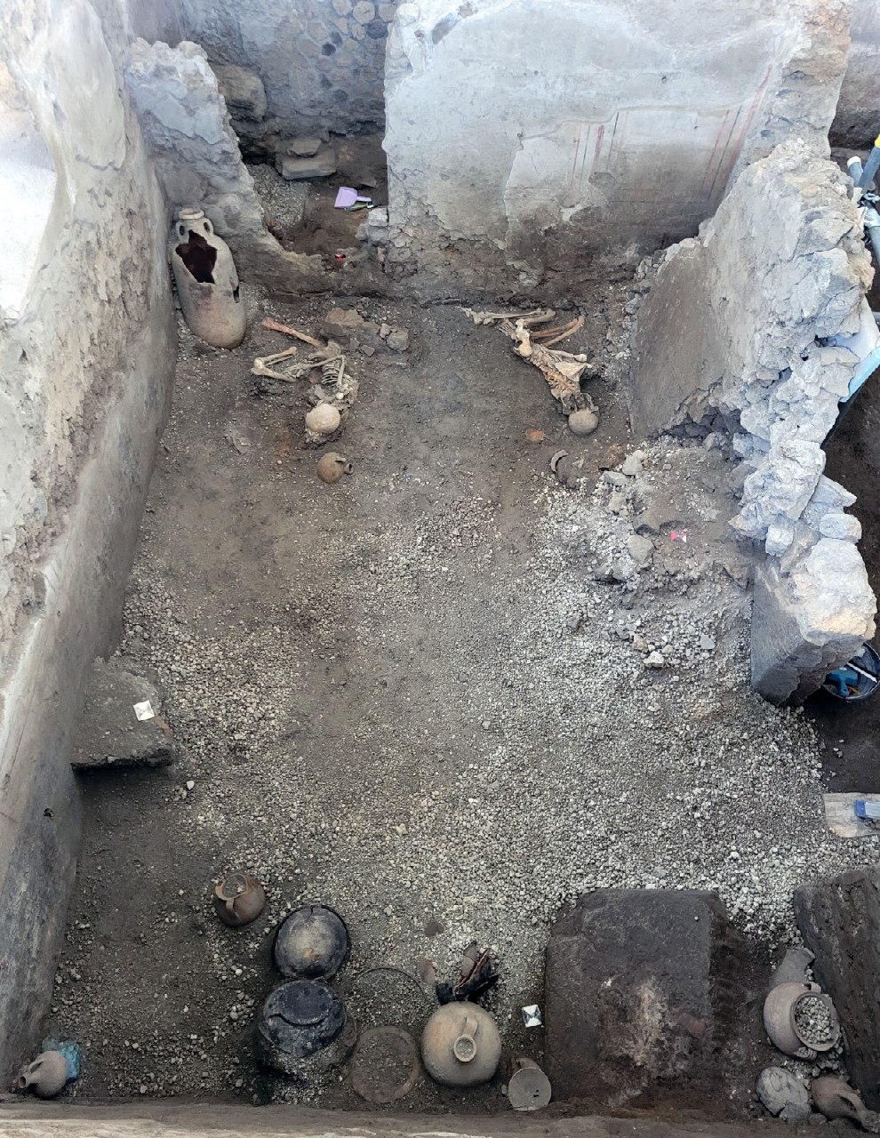 Pompeii excavation skeletons