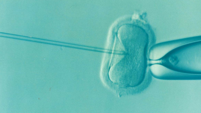 The first baby in the UK was conceived through IVF with DNA from three people. 