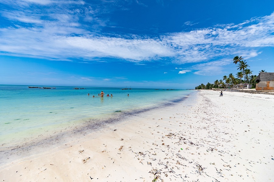Regenerative Tourism Zanzibar