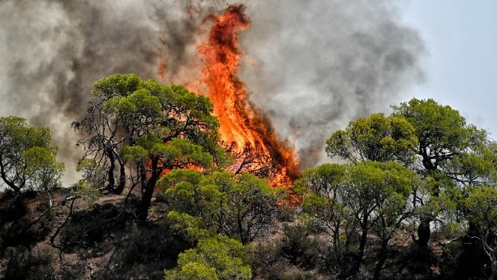 wildfire Evros Greece