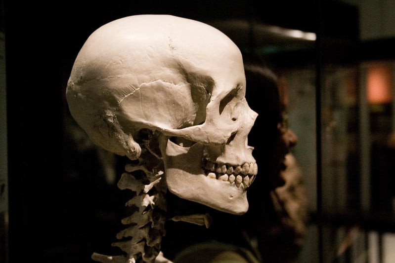 Berlin matches DNA from skulls stolen from African colonies to living relatives. 