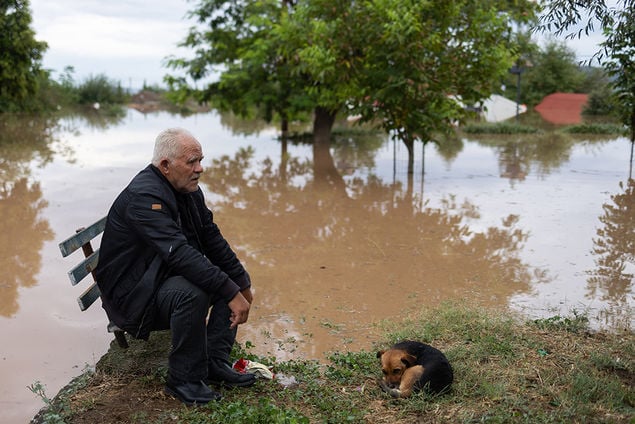floods Greece a dog and a man sitting o a bench next to a flooded area